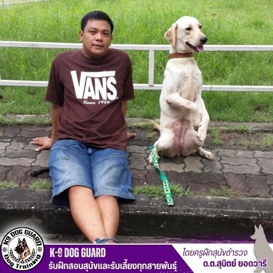 รับฝากสุนัขใกล้ฉัน รับฝากสุนัขใกล้ฉัน