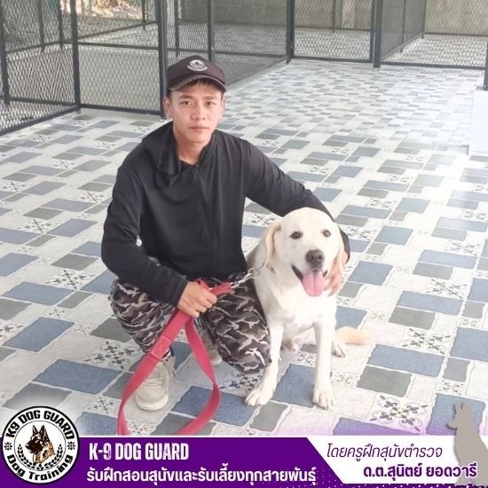 รับฝากสุนัข - รับฝึกสอนสุนัขและรับเลี้ยงทุกสายพันธุ์ รับฝากสุนัข - รับฝึกสอนสุนัขและรับเลี้ยงทุกสายพันธุ์