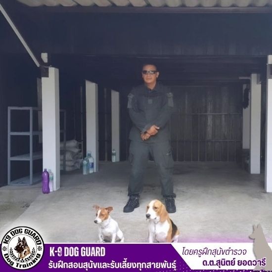 รับฝากสุนัขรายวัน - รับฝึกสอนสุนัขและรับเลี้ยงทุกสายพันธุ์ รับฝากสุนัขรายวัน - รับฝึกสอนสุนัขและรับเลี้ยงทุกสายพันธุ์