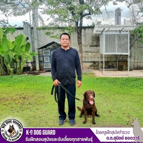 รับฝากสุนัขรายเดือน รับฝากสุนัขรายเดือน