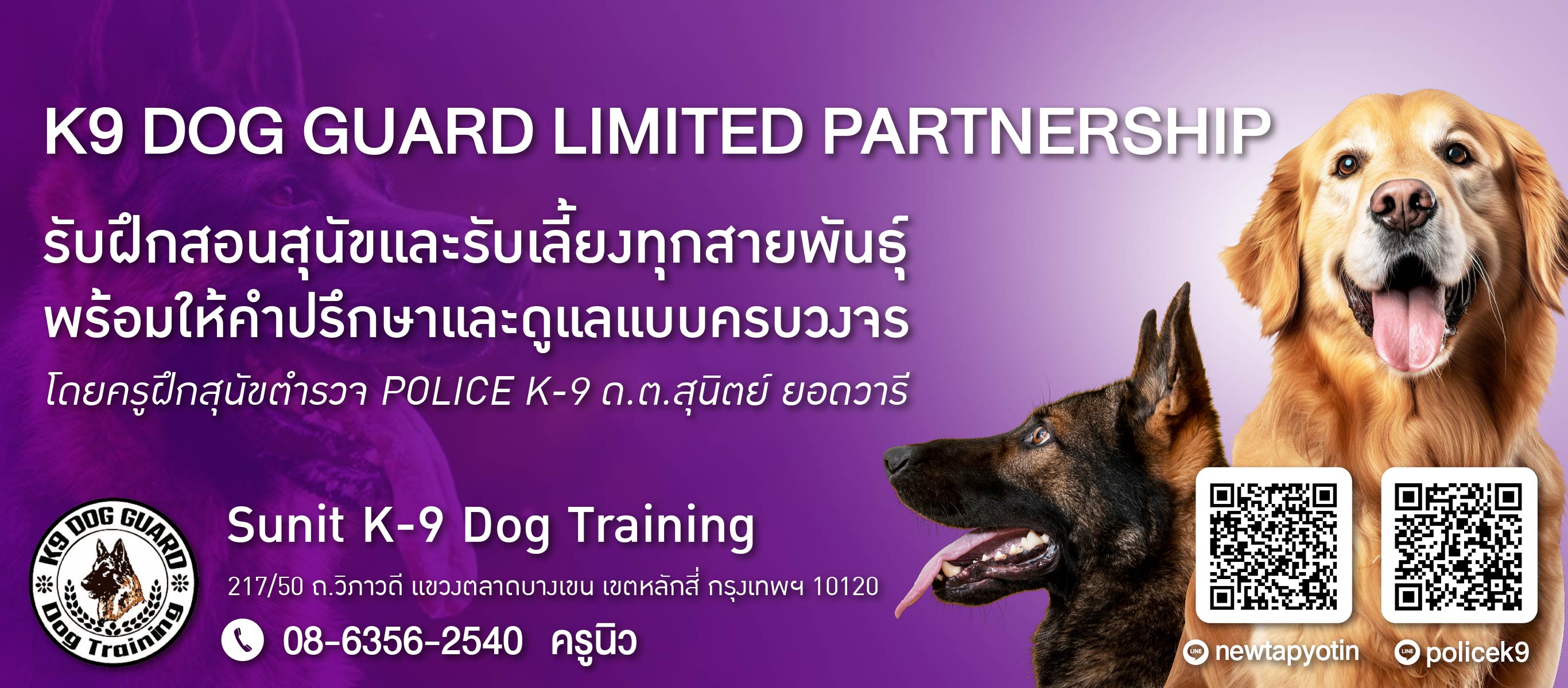 K9 DOG รับฝึกสอนสุนัขและรับเลี้ยงทุกสายพันธุ์